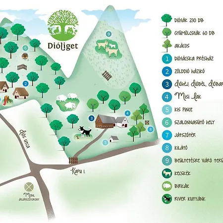 Dioliget - Daire